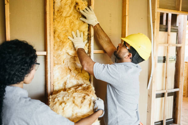 Best Insulation Air Sealing  in Manito, IL